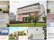 SDG集團協(xié)緯多公司初獲ISO認證，全面部署標準化營運方針                                                                                                                         